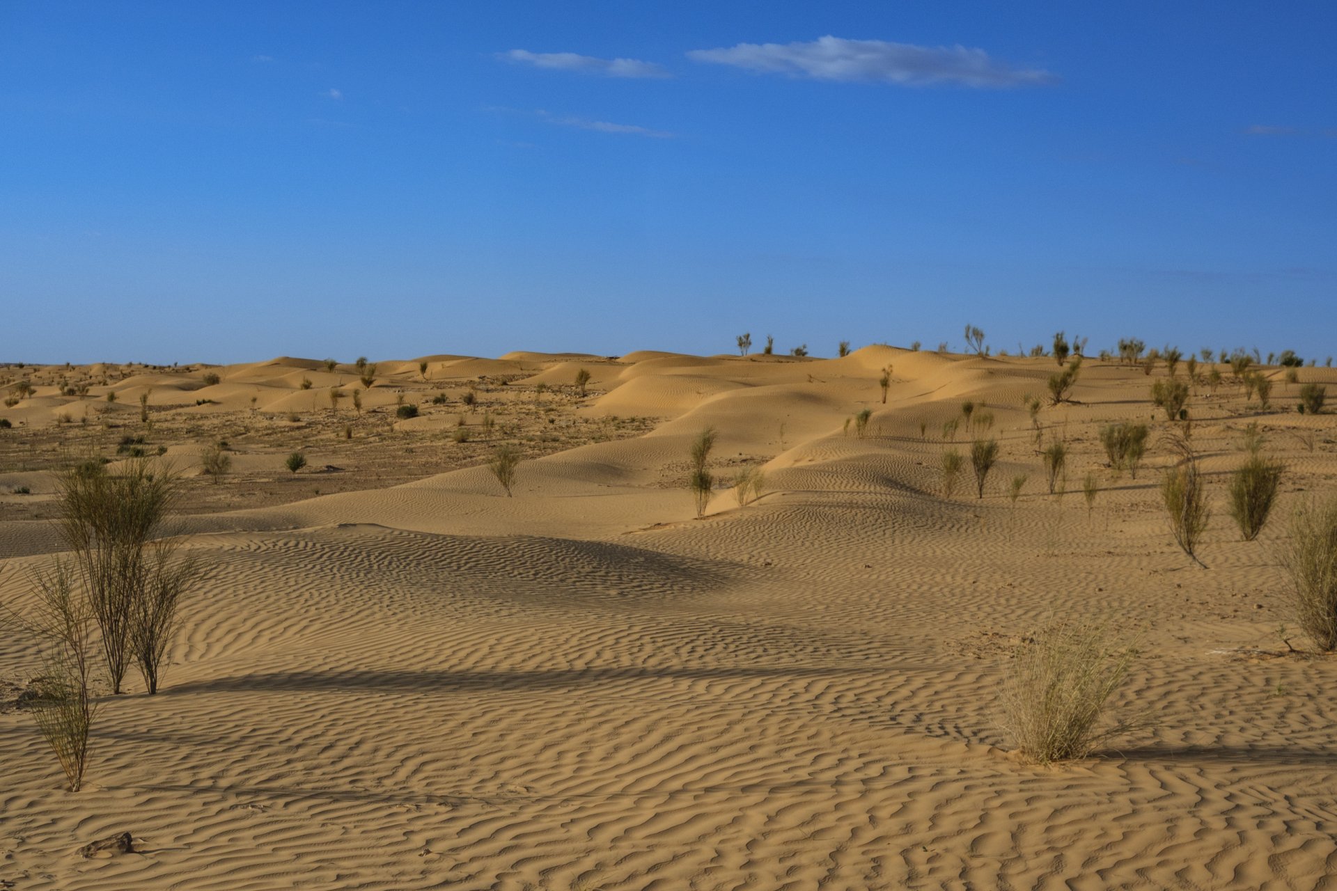 Tunisie: Tembaïne