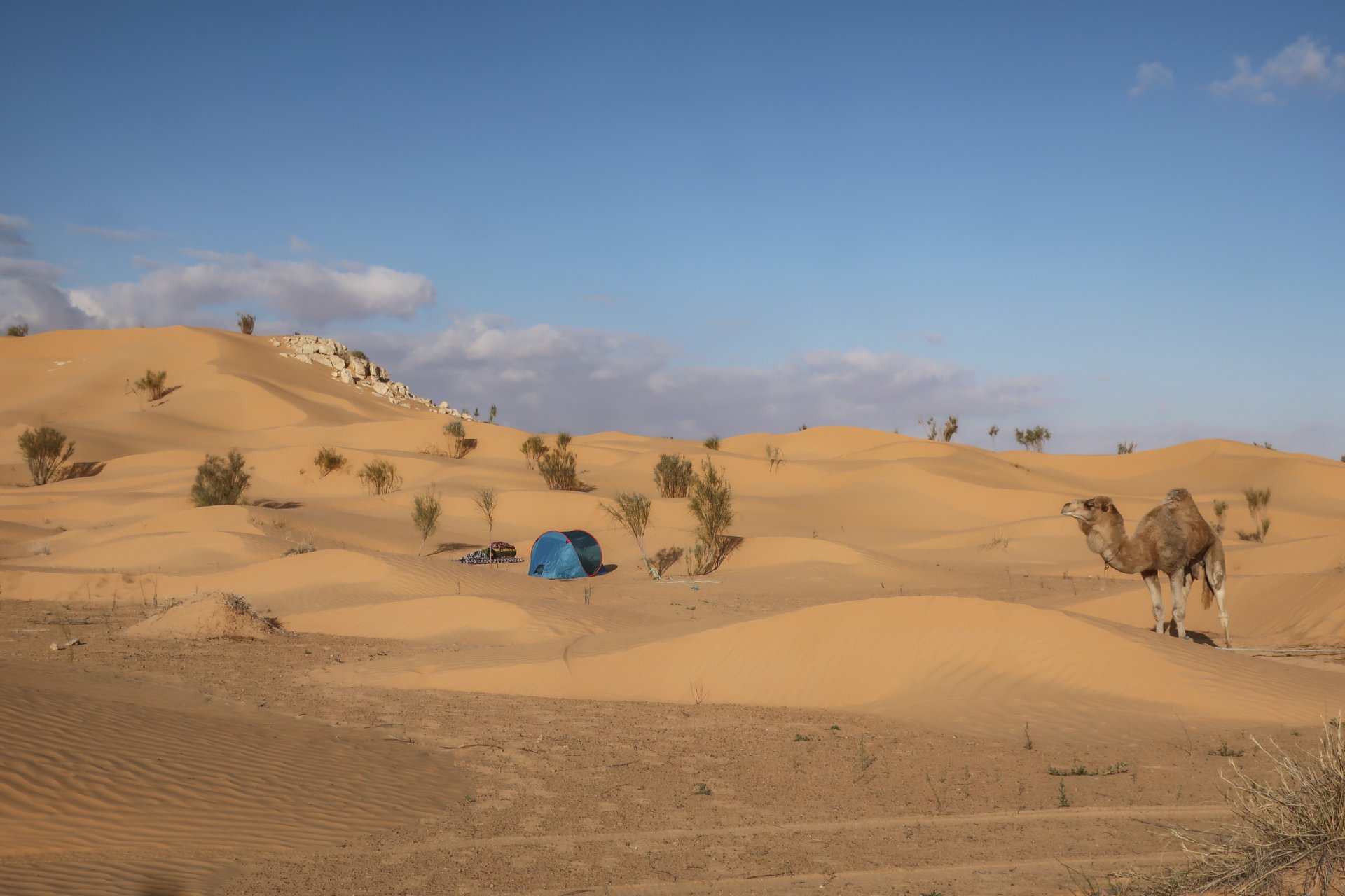 Tunisie: Tembaïne