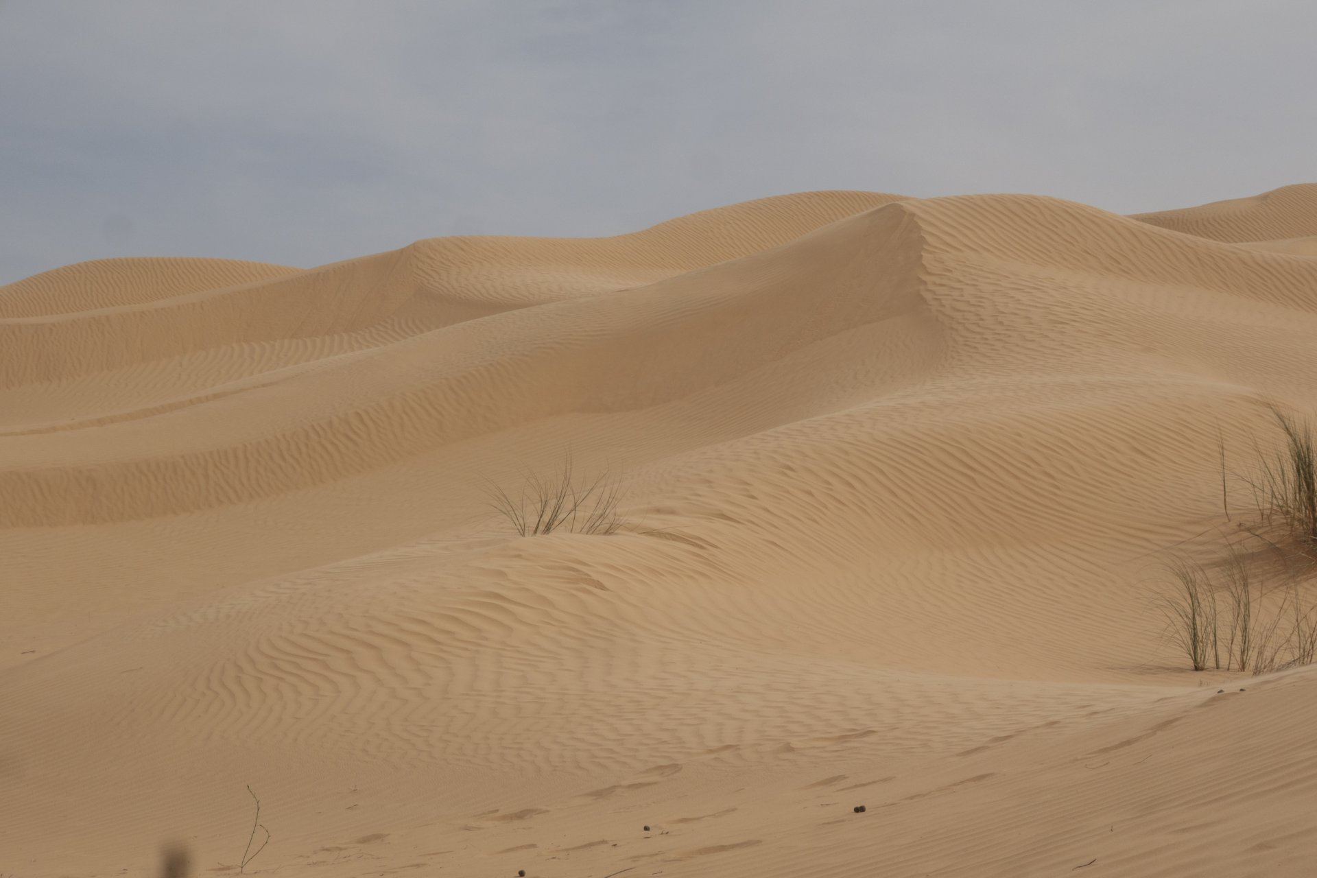 Tunisie: Tembaïne