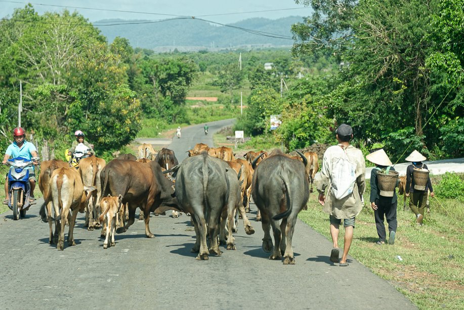 Vietnam