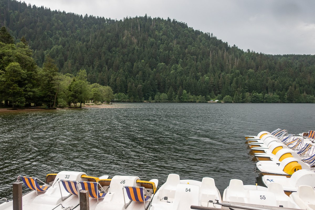Vosges