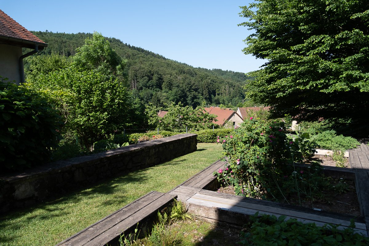 Vosges