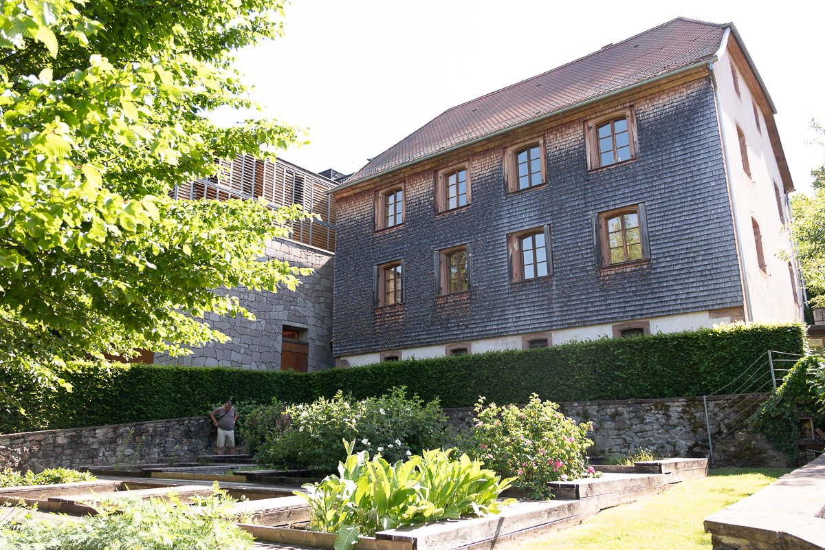 Vosges