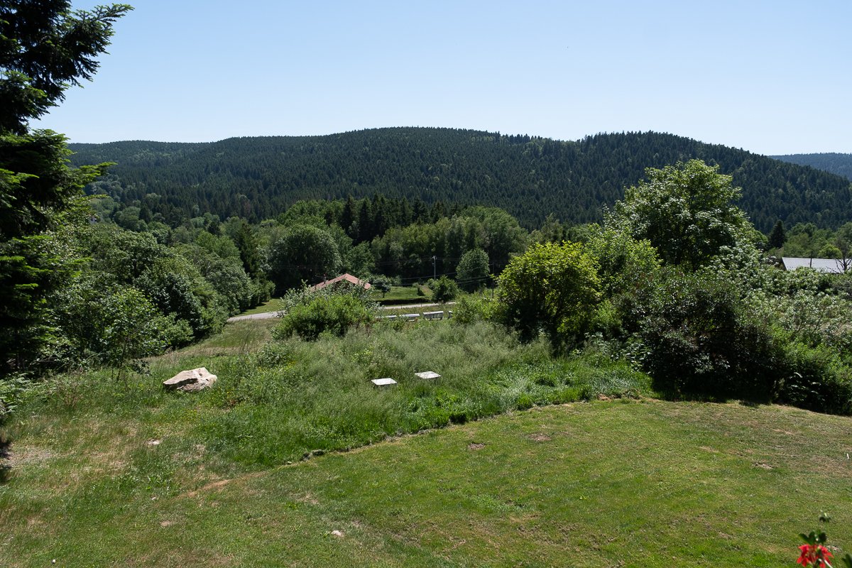 Vosges