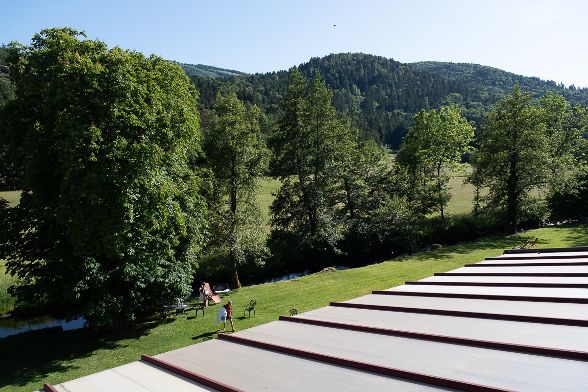 Vosges
