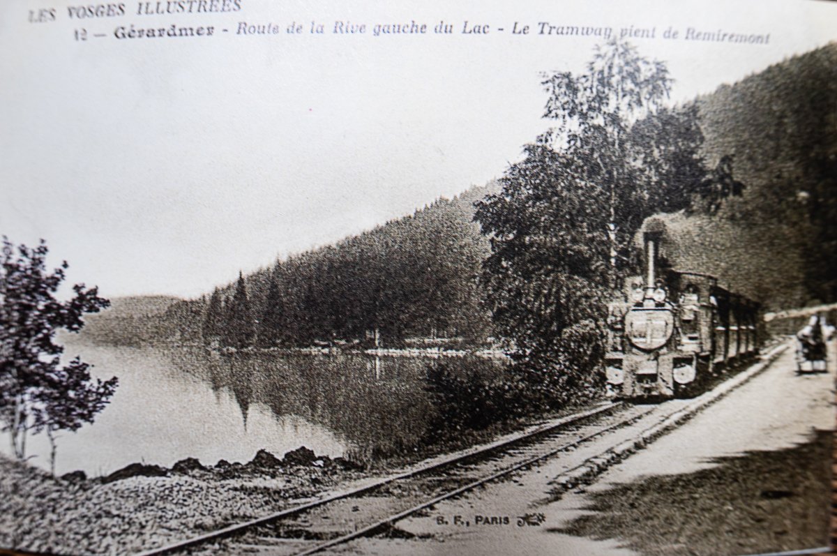 Vosges