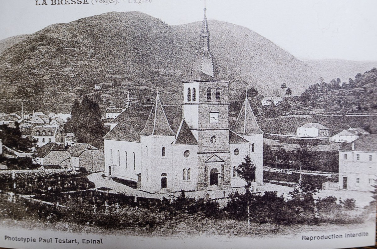 Vosges