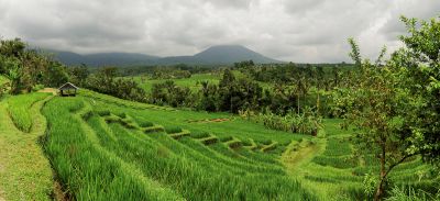 Bali