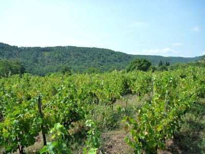 Ardeche