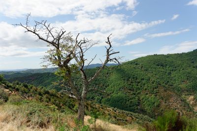 Ardeche