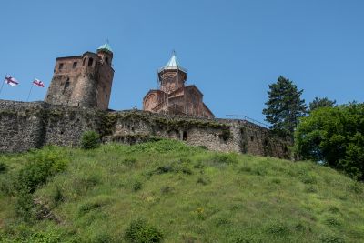 Babaneuris