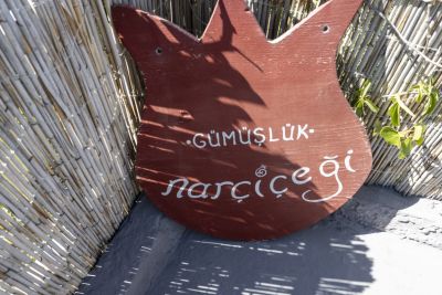 Bodrum - Turgutreis - Gumuscluk
