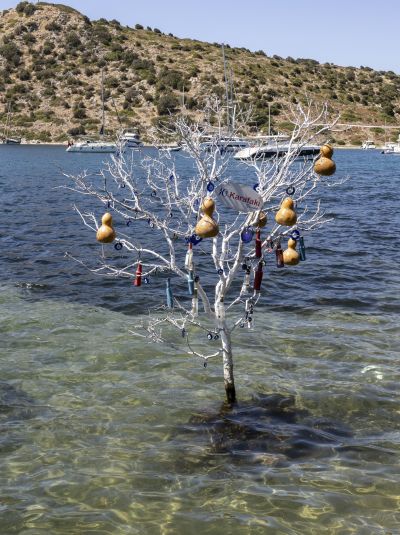Bodrum - Turgutreis - Gumuscluk