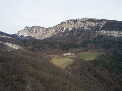 Chartreuse
