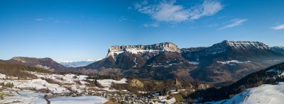 Chartreuse