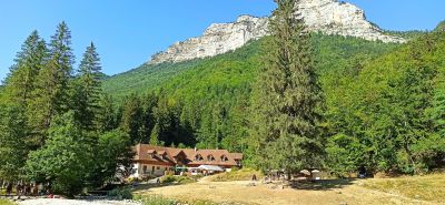 Chartreuse