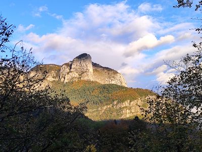 Chartreuse