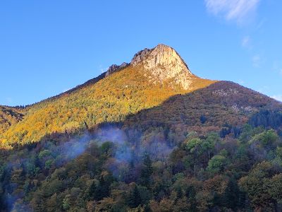 Chartreuse