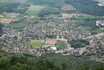 Chartreuse