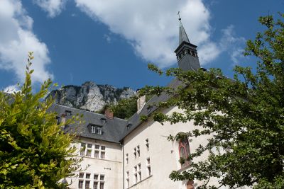 Chartreuse