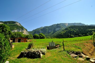 Chartreuse