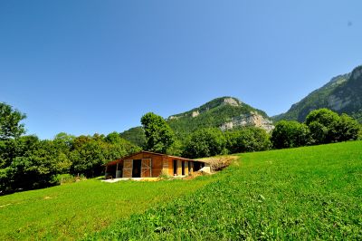 Chartreuse