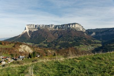 Chartreuse