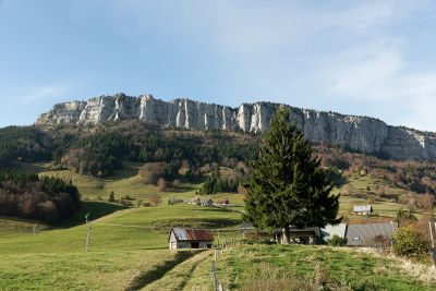 Chartreuse
