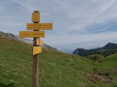 Chartreuse