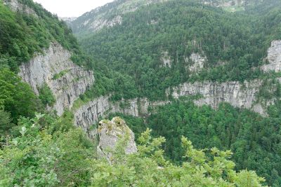 Chartreuse