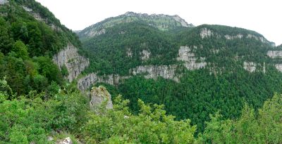 Chartreuse