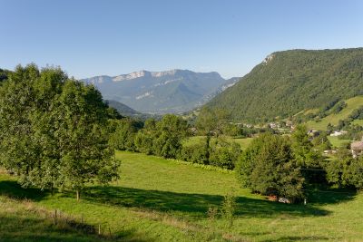 Chartreuse