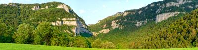 Chartreuse