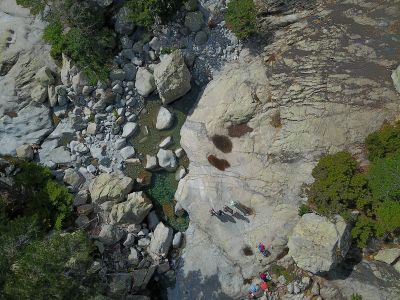 Corse