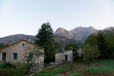 Corse