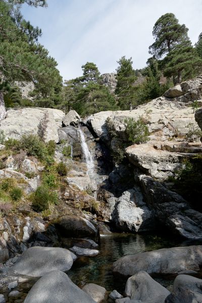 Corse