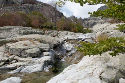 Corse