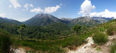 Corse