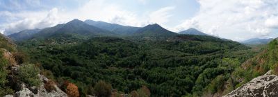 Corse
