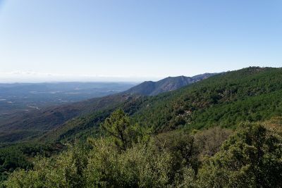 Corse