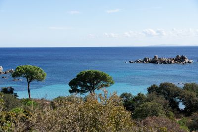 Corse