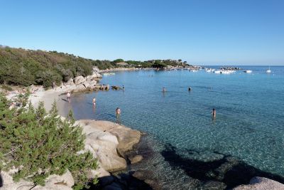 Corse