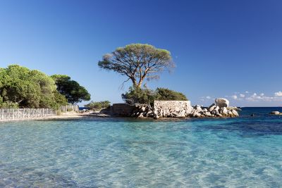 Corse