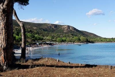 Corse