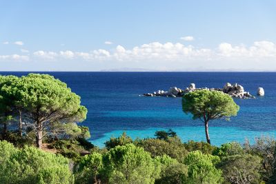 Corse