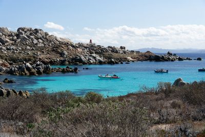 Corse