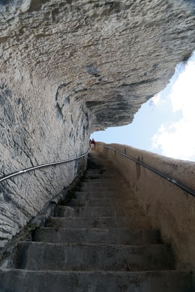 Corse