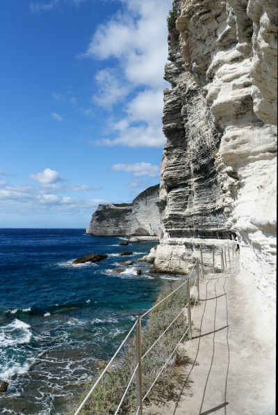 Corse