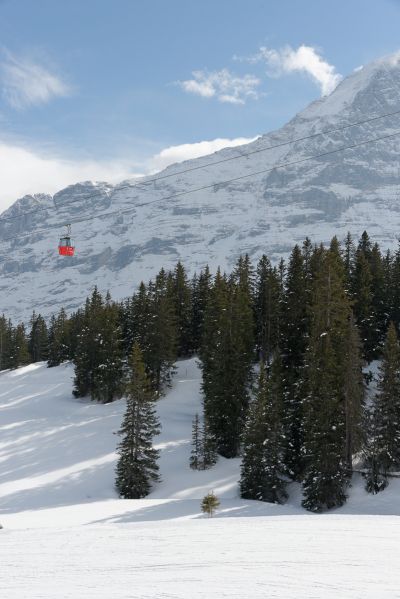Grindelwald