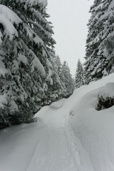 Grindelwald